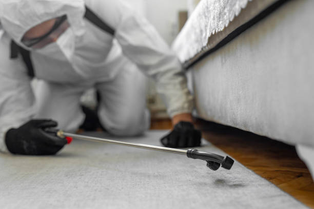 Professional Ant Control technician working in Cross Plains, TX